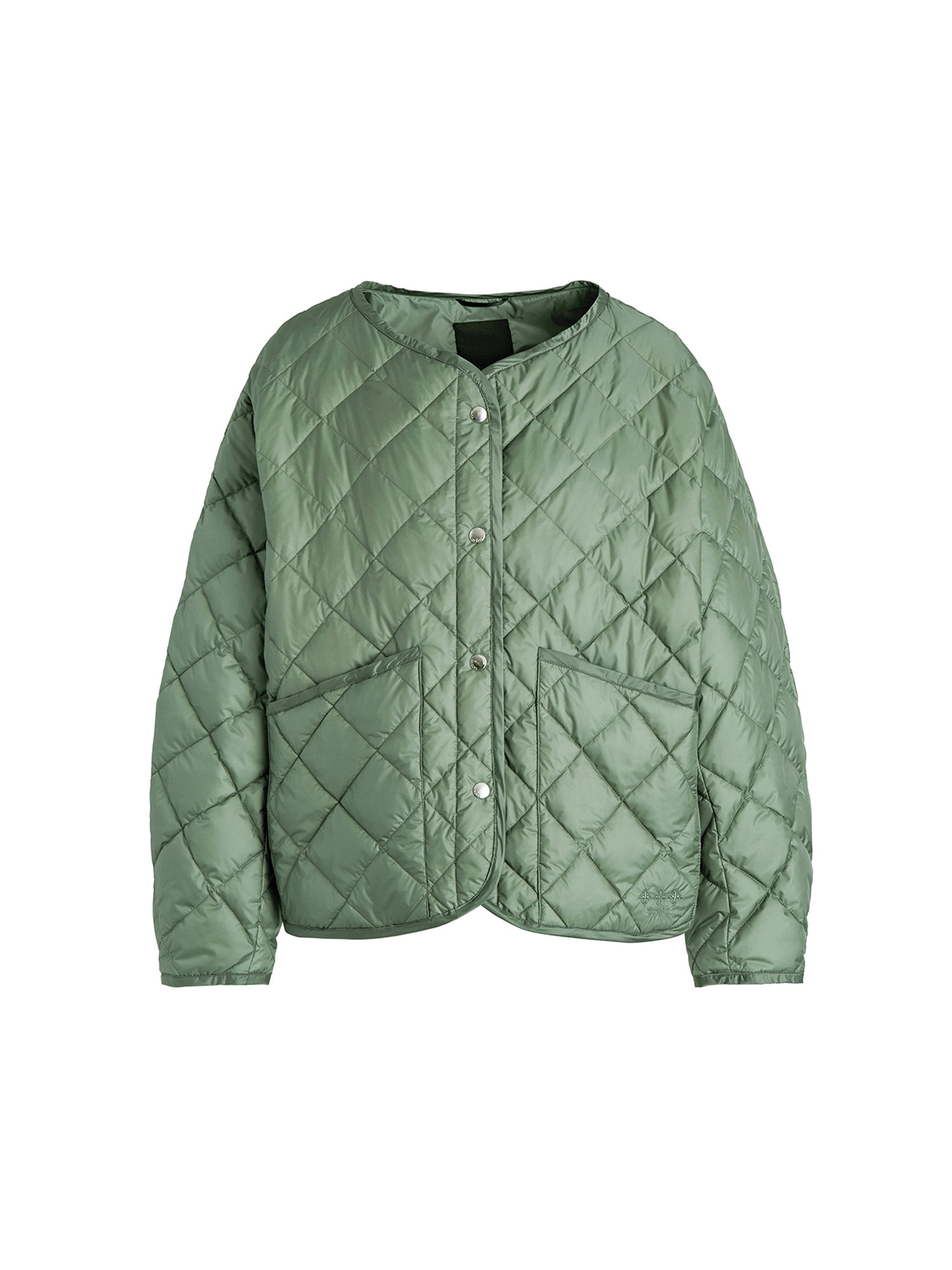 ASTER Down Jacket