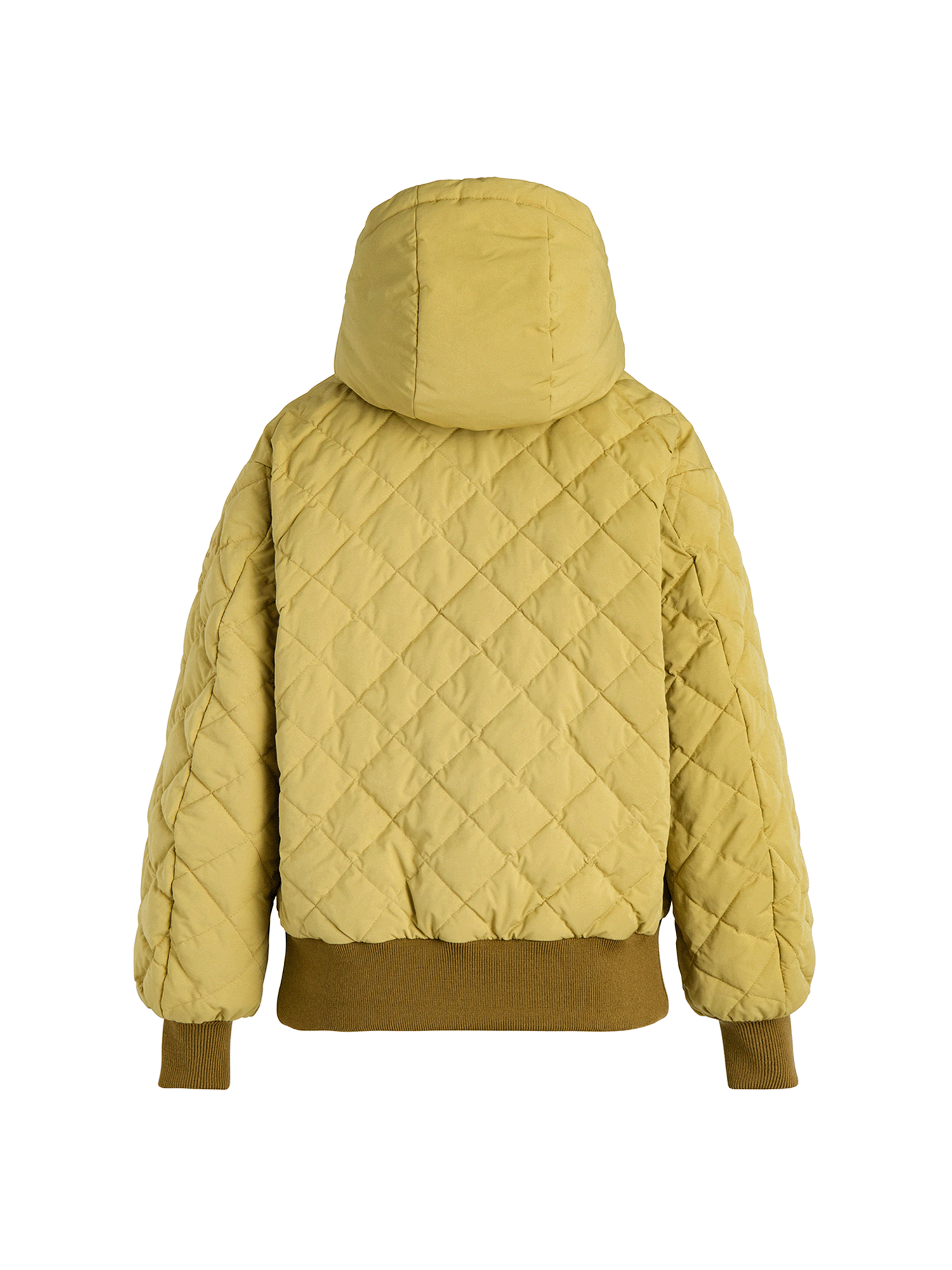 VERONICA Down Jacket