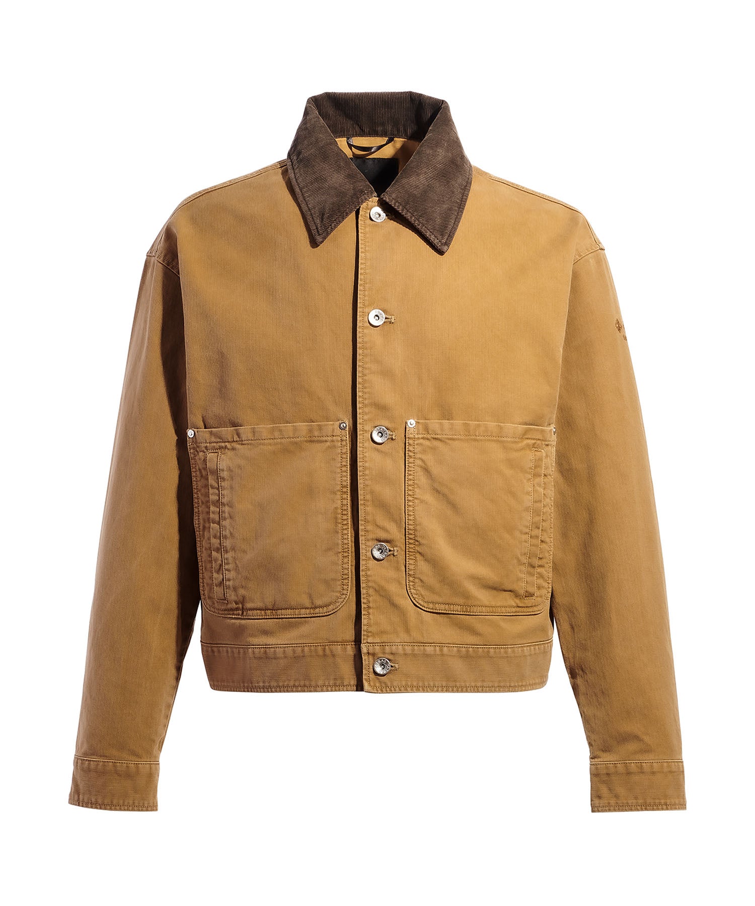 PERICLE Blouson